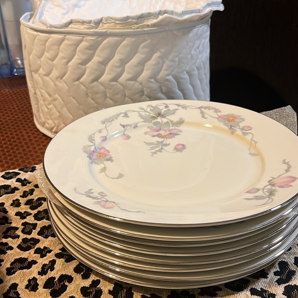 Warwick 10 inch foamy Dinner plate (8)